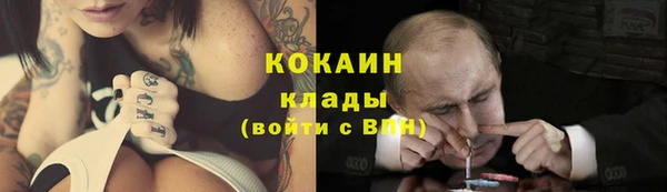 гидра Волоколамск