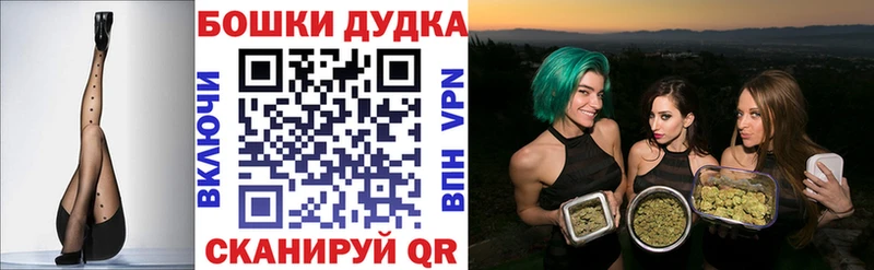 Бошки Шишки планчик Галич